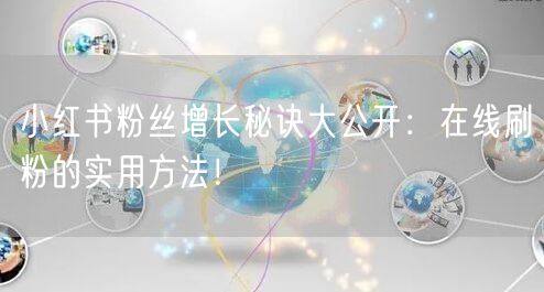 小红书粉丝增长秘诀大公开：在线刷粉的实用方法！