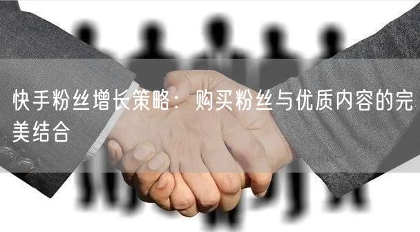 快手粉丝增长策略:购买粉丝与优质内容的完美结合