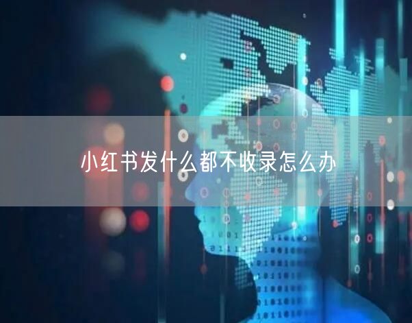 小红书发什么都不收录怎么办