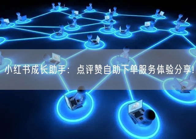 小红书成长助手:点评赞自助下单服务体验分享!