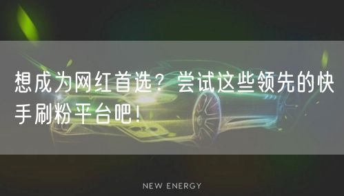 想成为网红首选?尝试这些领先的快手刷粉平台吧!