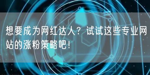 想要成为网红达人?试试这些专业网站的涨粉策略吧!