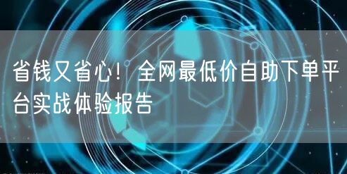 省钱又省心!全网最低价自助下单平台实战体验报告