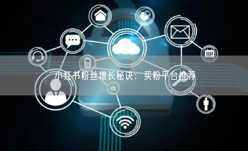 小红书粉丝增长秘诀:买粉平台推荐