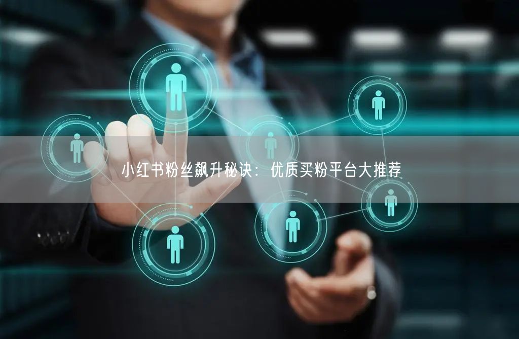 小红书粉丝飙升秘诀:优质买粉平台大推荐