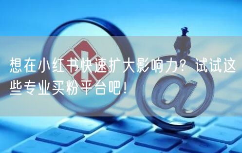想在小红书快速扩大影响力?试试这些专业买粉平台吧!