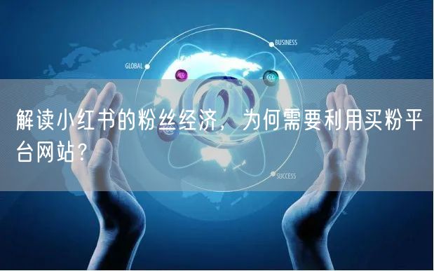 解读小红书的粉丝经济,为何需要利用买粉平台网站?