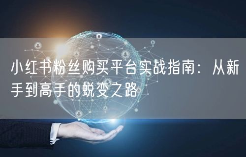 小红书粉丝购买平台实战指南:从新手到高手的蜕变之路