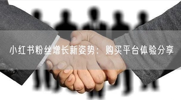 小红书粉丝增长新姿势:购买平台体验分享